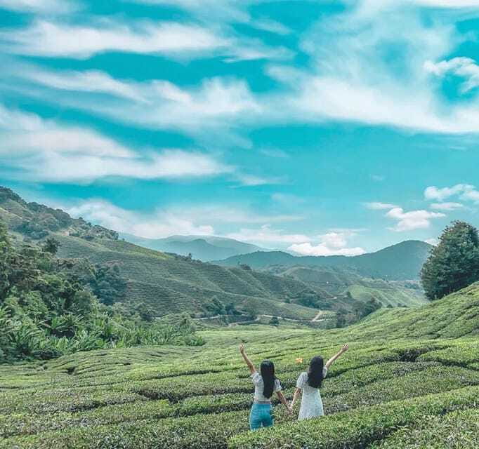 From Kuala Lumpur: Cameron Highlands Day Trip with Transfers - Exploring the Cameron Highlands Day Trip from Kuala Lumpur: A Practical Guide