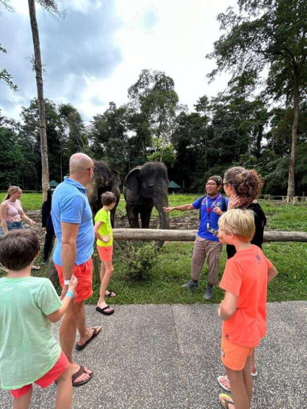 From Kuala Lumpur: Elephant Sanctuary Guided Tour - Who Will Love This Tour?  