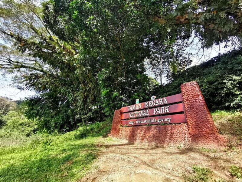 From Kuala Lumpur: Full Day Tour to Taman Negara - Key Points