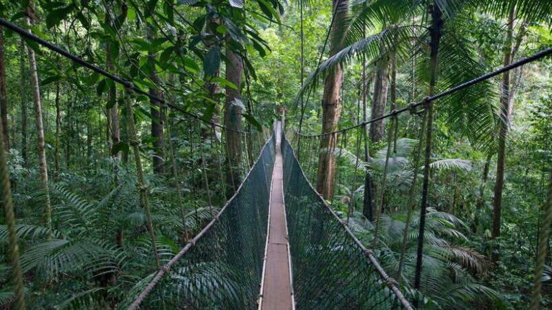 From Kuala Lumpur: Full Day Tour to Taman Negara - What Travelers Say: Authentic Experiences and Practicalities