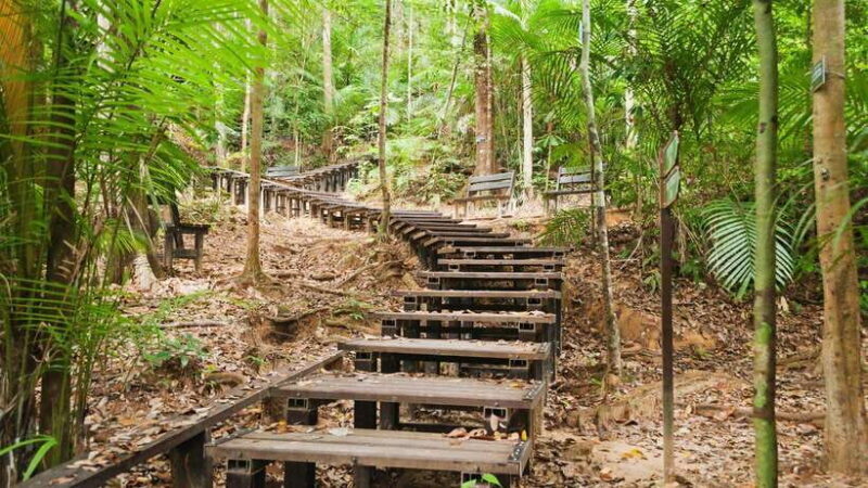 From Kuala Lumpur: Full Day Tour to Taman Negara - Practical Tips for a Great Day Out