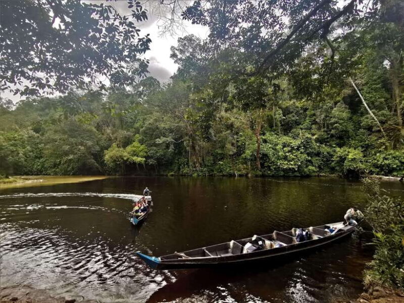 From Kuala Lumpur: Full Day Tour to Taman Negara - Final Thoughts: Is This Tour Worth It?