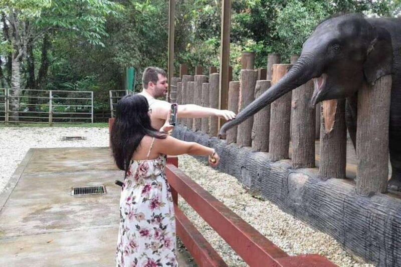 From Kuala Lumpur: Kuala Gandah & Batu Caves Day Trip - A Closer Look at the Itinerary