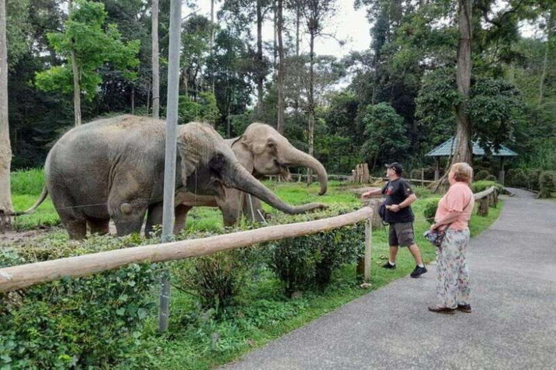 From Kuala Lumpur: Kuala Gandah & Batu Caves Day Trip - Who Will Love This Tour?