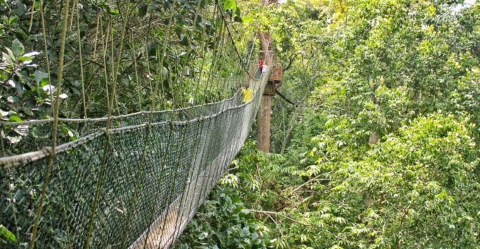From Kuala Lumpur: Taman Negara National Park Day Tour - Tips for a Successful Trip