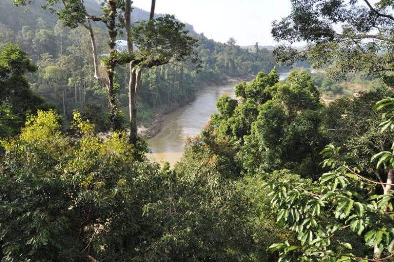 From Kuala Lumpur: Taman Negara National Park Trek Day Tour - An In-Depth Look at the Taman Negara Tour