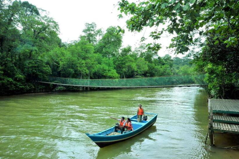 From Kuala Lumpur: Taman Negara Private Tour - Key Points