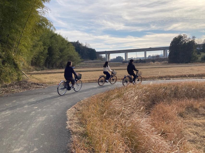 From Kyoto: E-Biking & Ninjas Training Mt. Hiking in Koka - Key Points