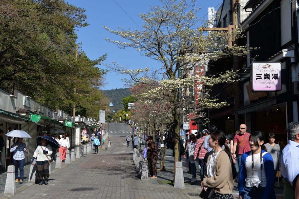 From Kyoto: Old Port Town and Ultimate Sake Tasting Tour - Kizakura Kappa Museum and Brewery