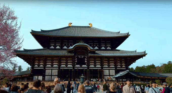 From Kyoto/Osaka: Nara Sightseeing Private Day Tour - Frequently Asked Questions
