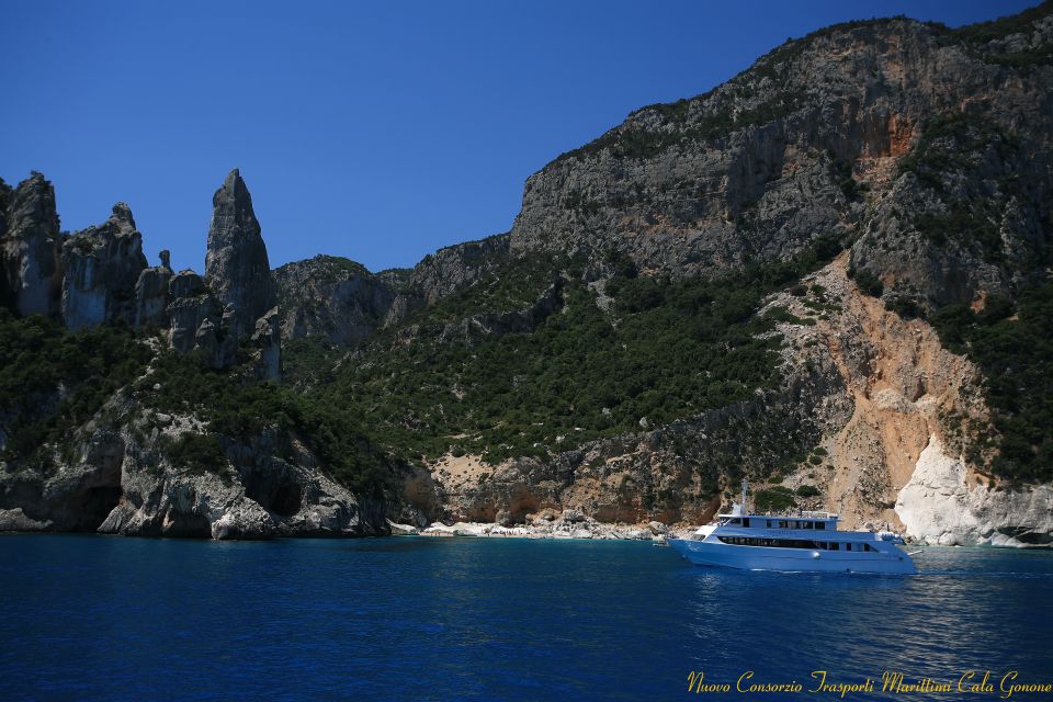 From La Caletta or Orosei: Gulf of Orosei Cruise - Pricing and Booking Options