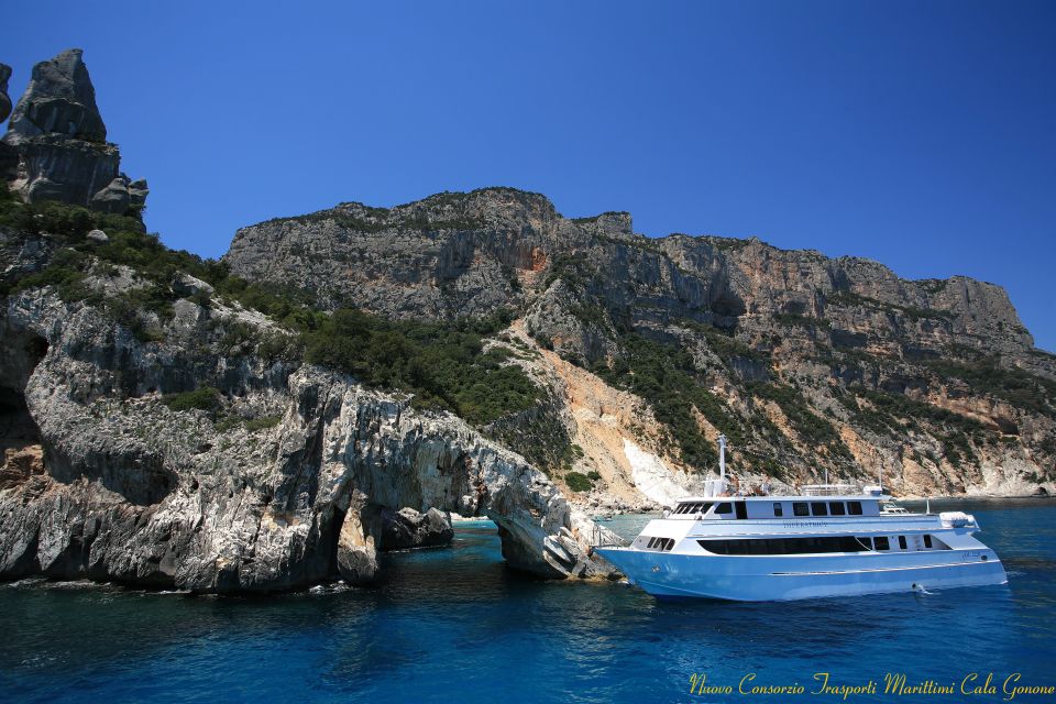 From La Caletta or Orosei: Gulf of Orosei Cruise - Recap