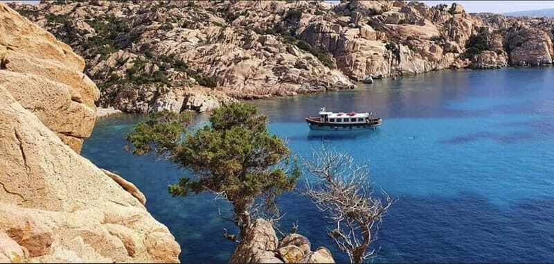 From La Maddalena or Palau: Archipelago Boat Tour - Who Will Appreciate This Tour?