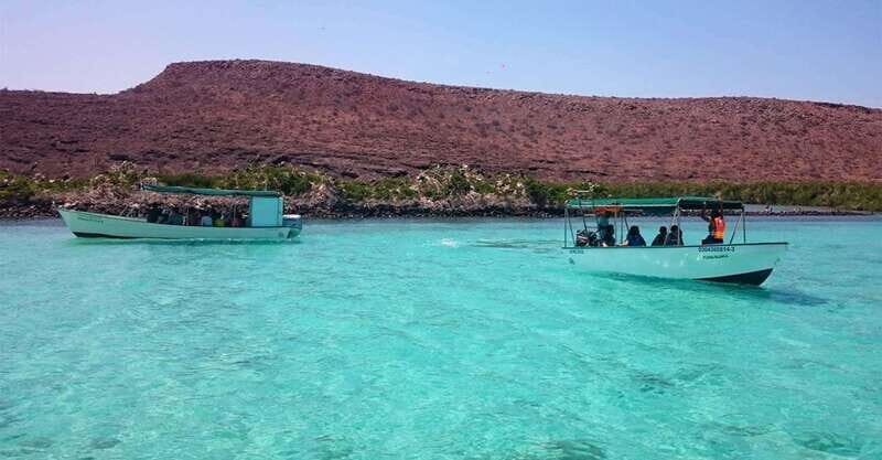 From La Paz: Espíritu Santo Island Tour all inclusive - Who Should Book This Tour?
