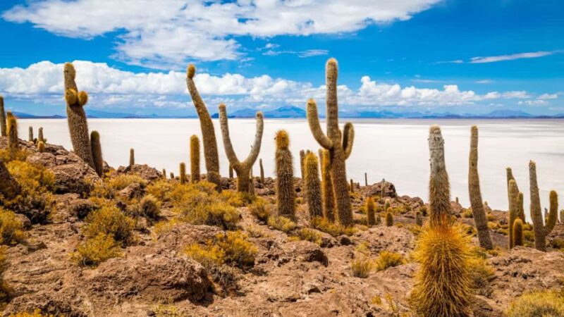 From La Paz: Salar De Uyuni 2d/1n All Inclusive - Day One Activities