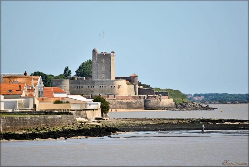 From La Rochelle: Fouras, Royan, and Oléron Island Day Trip - Royan: Coastal City and Relaxing Beaches