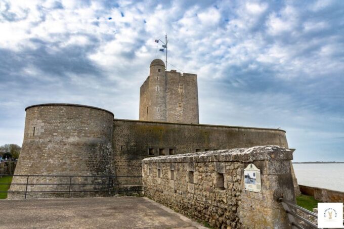 From La Rochelle: Fouras, Royan, and Oléron Island Day Trip - Recommended Items for the Day Trip