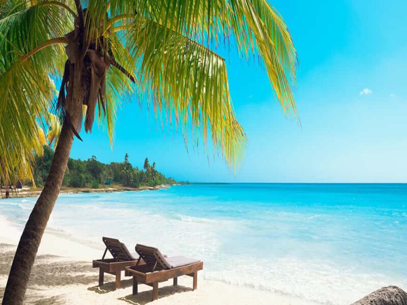 From La Romana: Saona Island All-Inclusive Day Trip - Who Will Love This Trip?