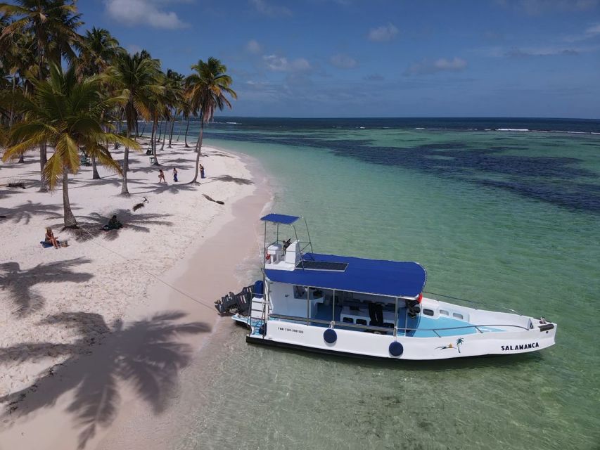 From La Romana: Saona Island Shore Excursion With Lunch - Transportation