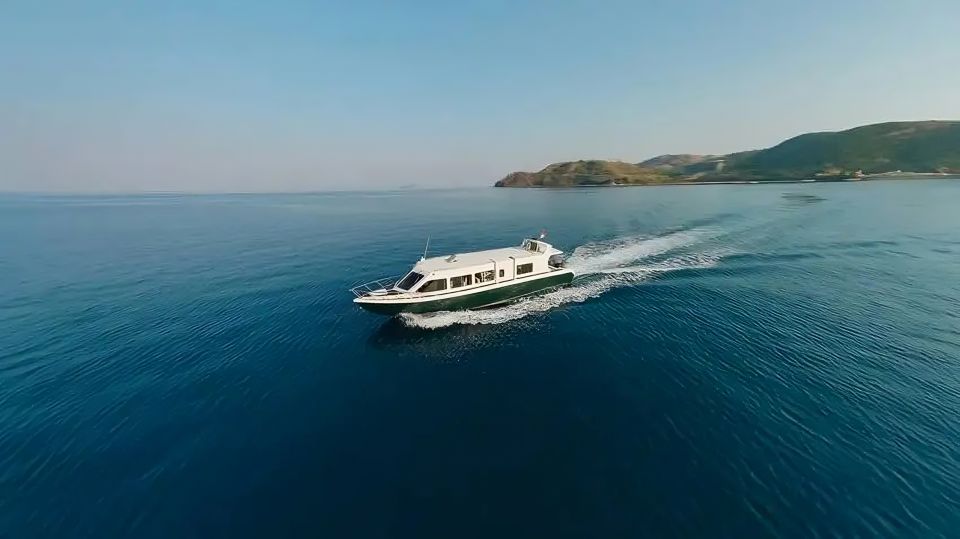 From Labuan Bajo: Day Tour of Komodo Island With Snorkeling - Komodo National Park