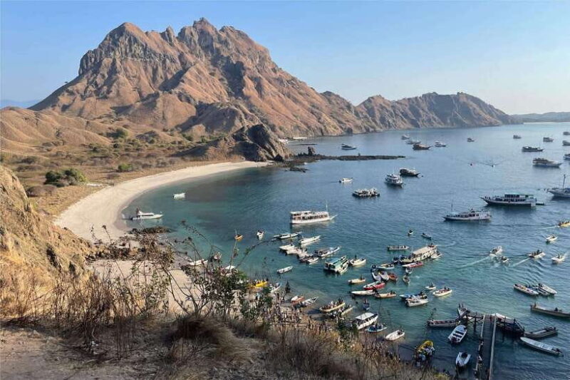 From Labuan Bajo: Komodo Dragons and Island Hop with All Fee - Key Points