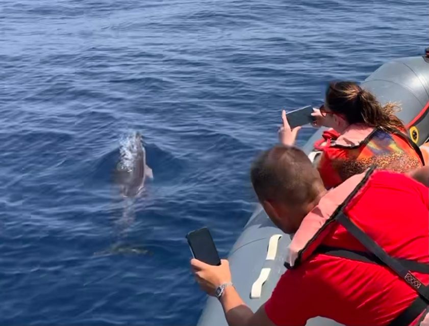 From Lagoa: Dolphins & Ponta da Piedade with biologist guide - Key Points