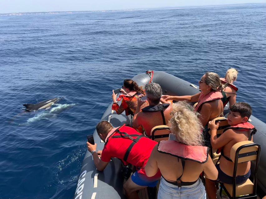 From Lagoa: Dolphins & Ponta da Piedade with biologist guide - FAQ