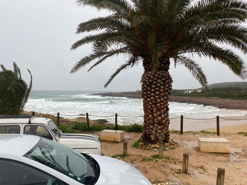 From Lagos: 5 Hour Algarve Coastal Tour with Guide - Who Would Love This Tour?  