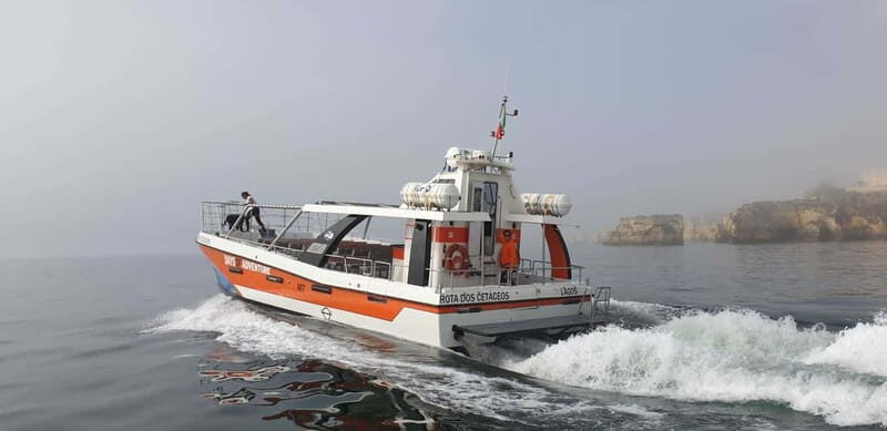 From Lagos: Benagil Caves Catamaran Cruise - Passing by Other Beaches and Natural Formations  