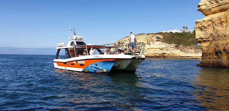 From Lagos: Dolphin Watching Catamaran Cruise - A Practical Look at the Dolphin Watching Tour