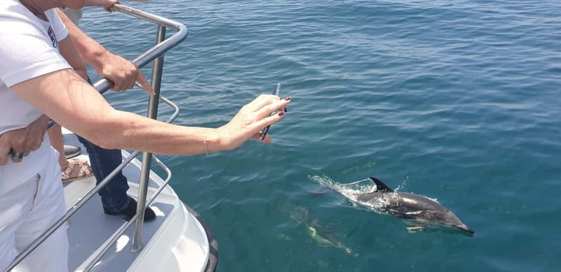 From Lagos: Dolphin Watching Catamaran Cruise - FAQ