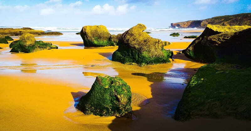 From Lagos: Half-Day West Coast Minivan Tour - FAQ