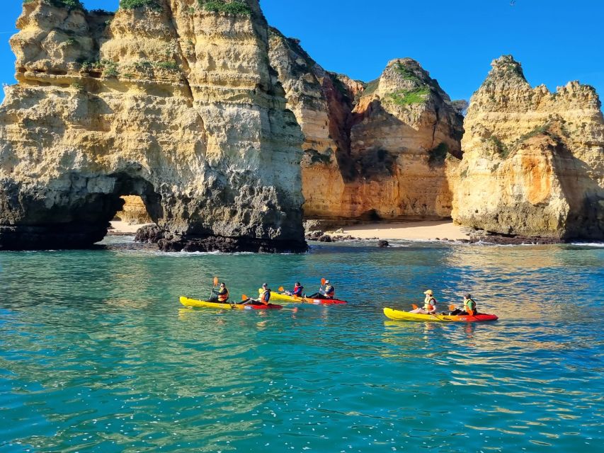 From Lagos: Kayak Experience in Ponta Da Piedade - Key Points
