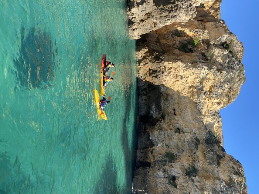 From Lagos: Kayak Experience in Ponta Da Piedade - Highlights of the Experience