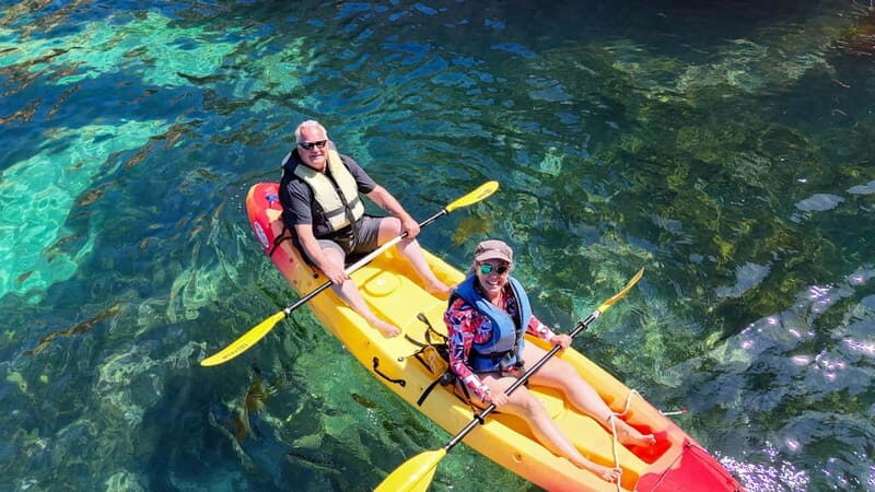 From Lagos: Ponta da Piedade Caves Kayak Tour from Catamaran - Key Points