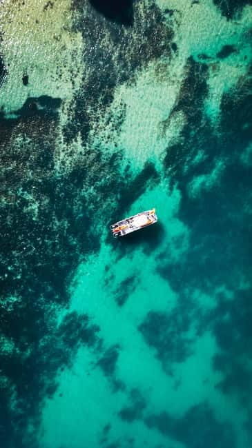 From Lagos: Ponta da Piedade Caves Kayak Tour from Catamaran - A Detailed Look at the Experience
