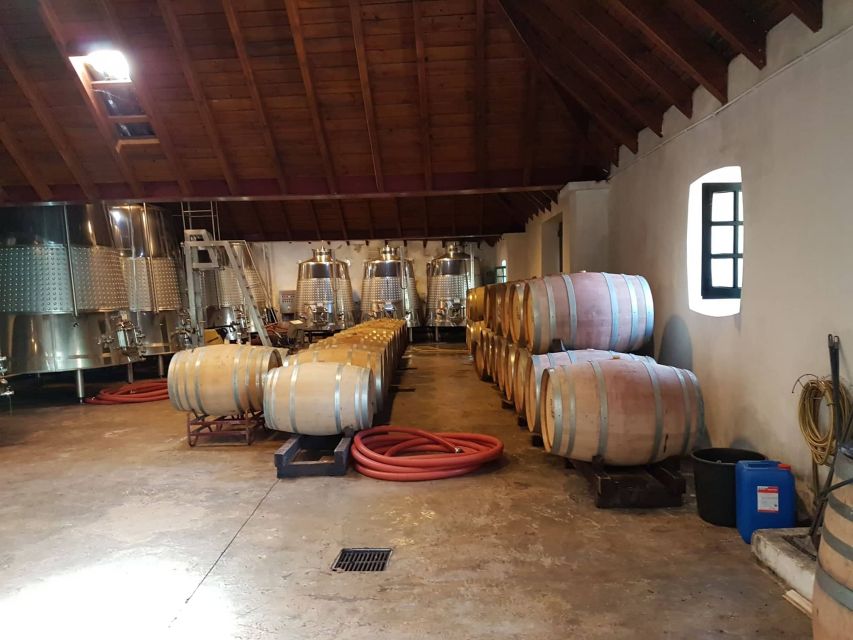 From Lagos: Private Algarve Wineries Tour With Tastings - Unique Winemaking Processes