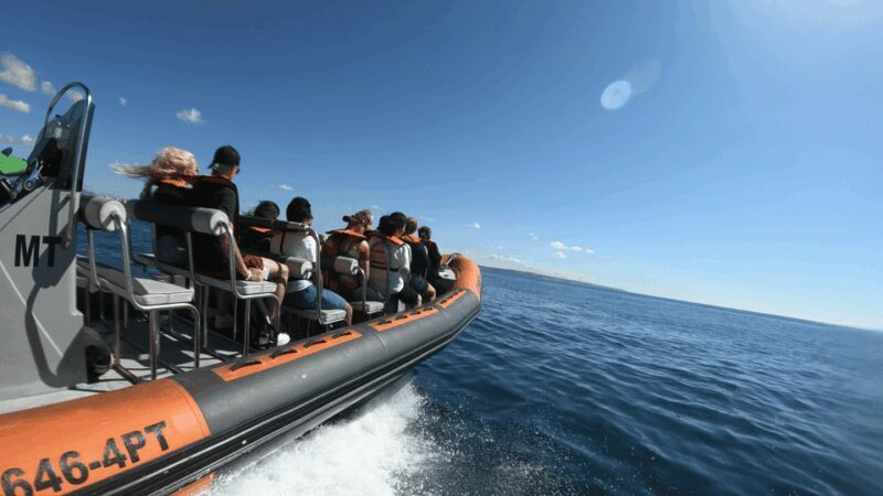 From Lagos: Scenic Cruise to the Benagil and Carvoeiro Caves - FAQ