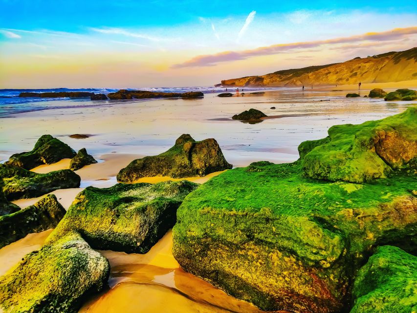 From Lagos: Wild and Wonderful West Coast Full-Day Tour - Visiting the Cape of St. Vincent