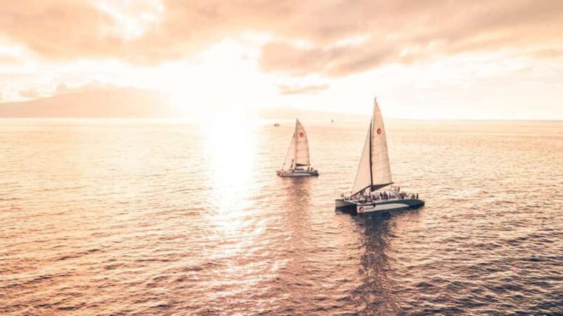 From Lahaina: Golden Hour Whale Watch aboard Alihilani - The Sum Up
