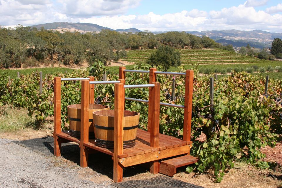 From Lake Garda: Valpolicella Wine & Lunch Guided Trip - Itinerary Highlights