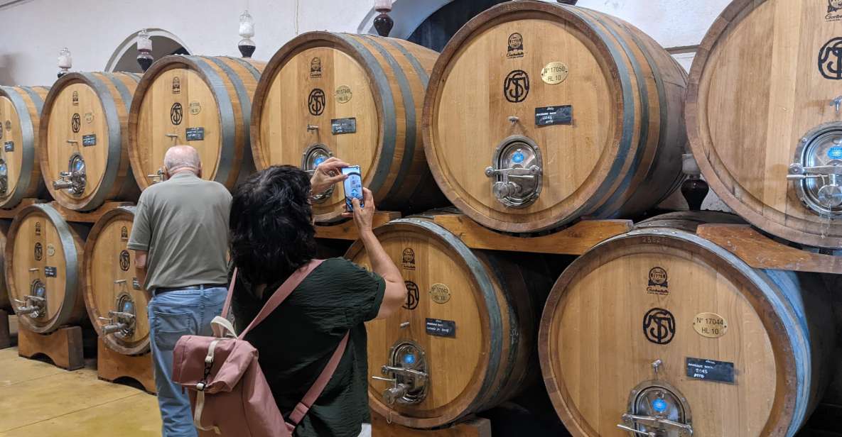 From Lake Garda: Valpolicella Wine & Lunch Guided Trip - Customer Reviews