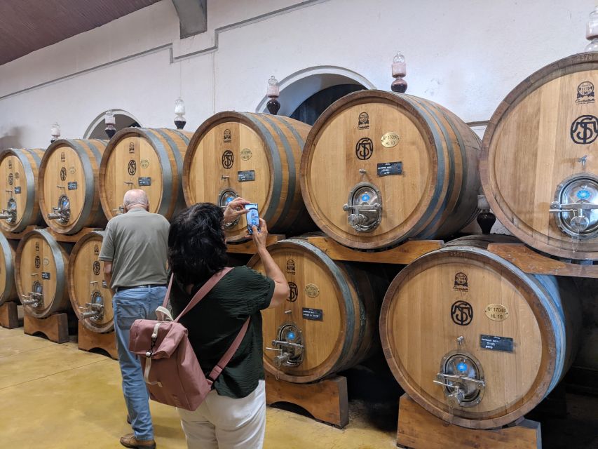 From Lake Garda: Valpolicella Wine & Lunch Guided Trip - Local Cuisine and Lunch