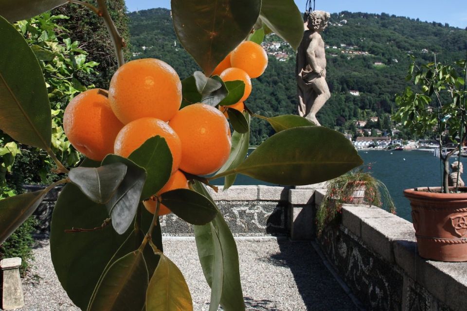 From Lake Maggiore: Private Boat Tour With Pickup/Drop-Off - Important Information and Customer Reviews