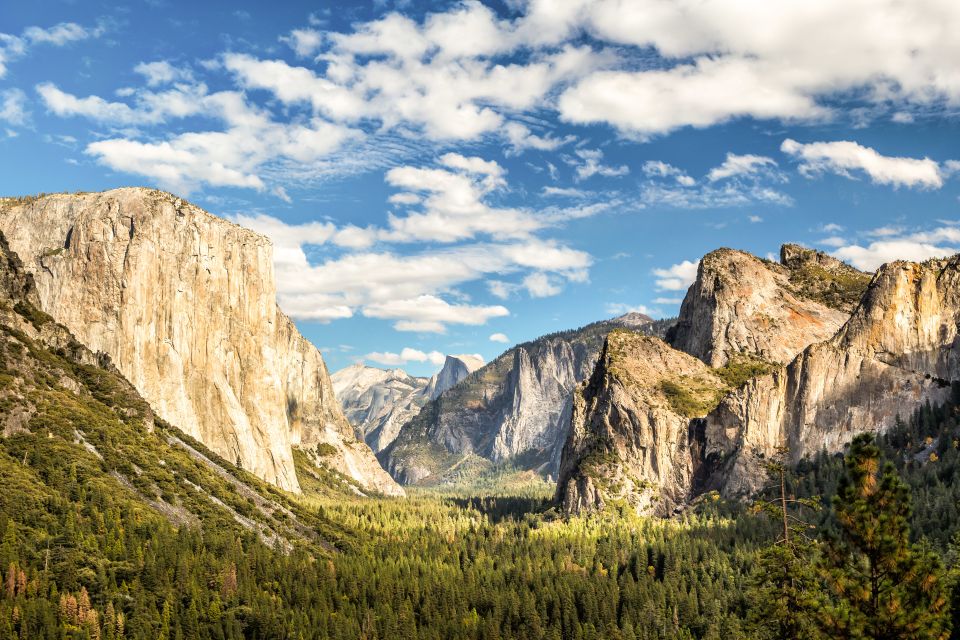 From Lake Tahoe: Yosemite National Park Day Trip With Lunch - Lunch Options