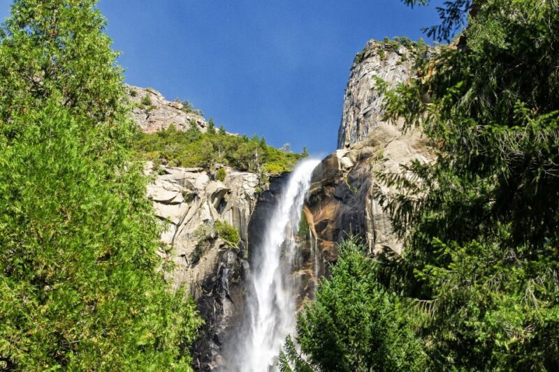 From Lake Tahoe: Yosemite National Park Day Trip with Lunch - Key Points