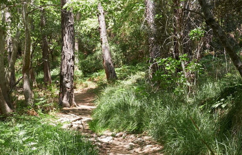From Larnaca Bay: Grand Tour Jeep Safari - A Taste of Cyprus Beyond the Beaches