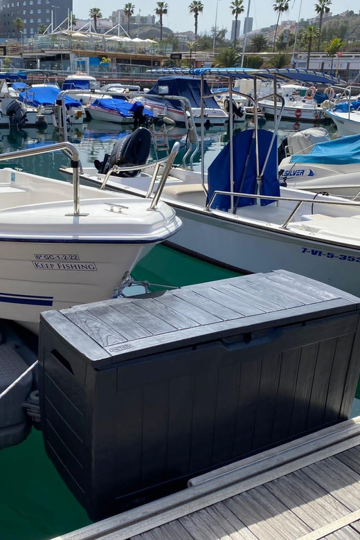 From Las Palmas : Day Sailing Experience Along the Coast - Unique Opportunities