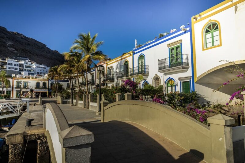 From Las Palmas: Fataga, Finca de Aloe Vera and Mercado Puerto de Mogán - Key Points