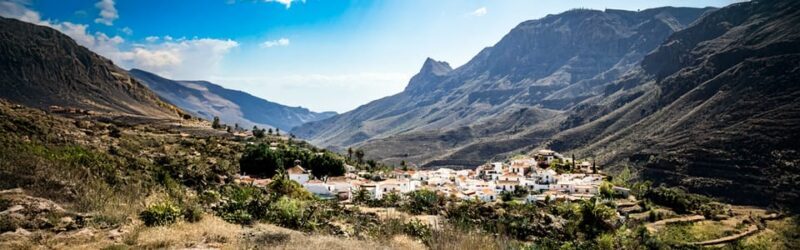 From Las Palmas: Fataga, Finca de Aloe Vera and Mercado Puerto de Mogán - Who Would Love This Tour?